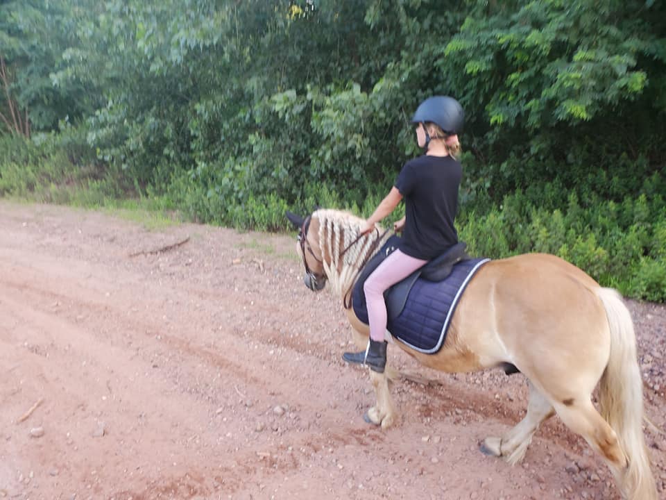 Homestead Farm & Orchards