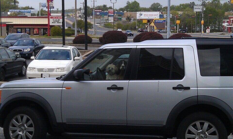 Photo credit: nextdoor