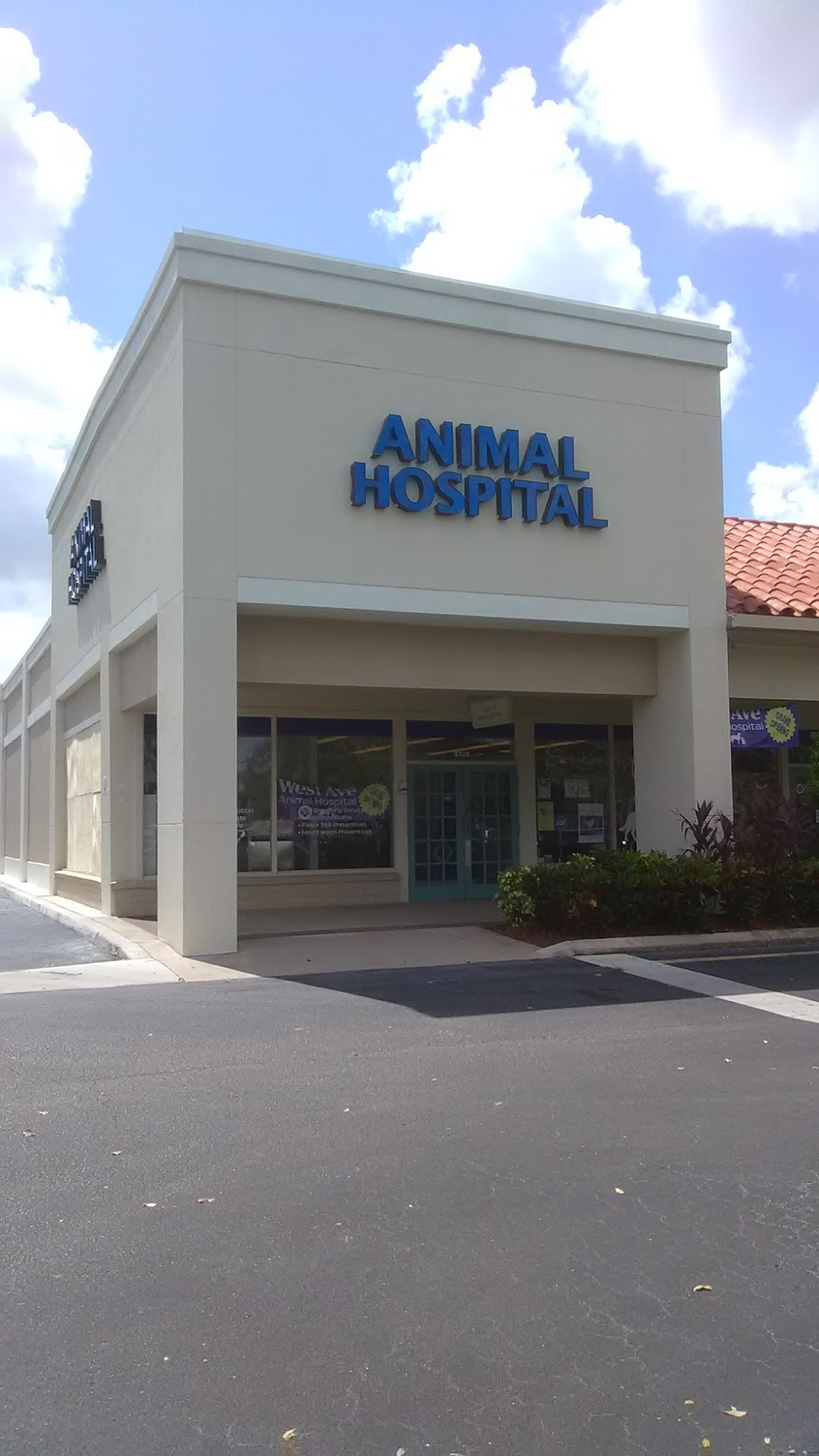 West Ave Animal Hospital