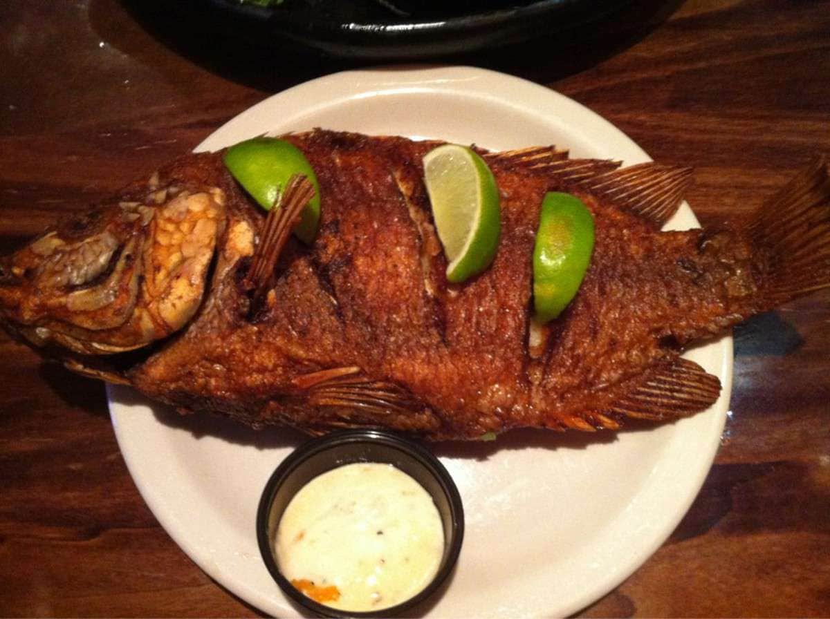 Photo credit: zomato