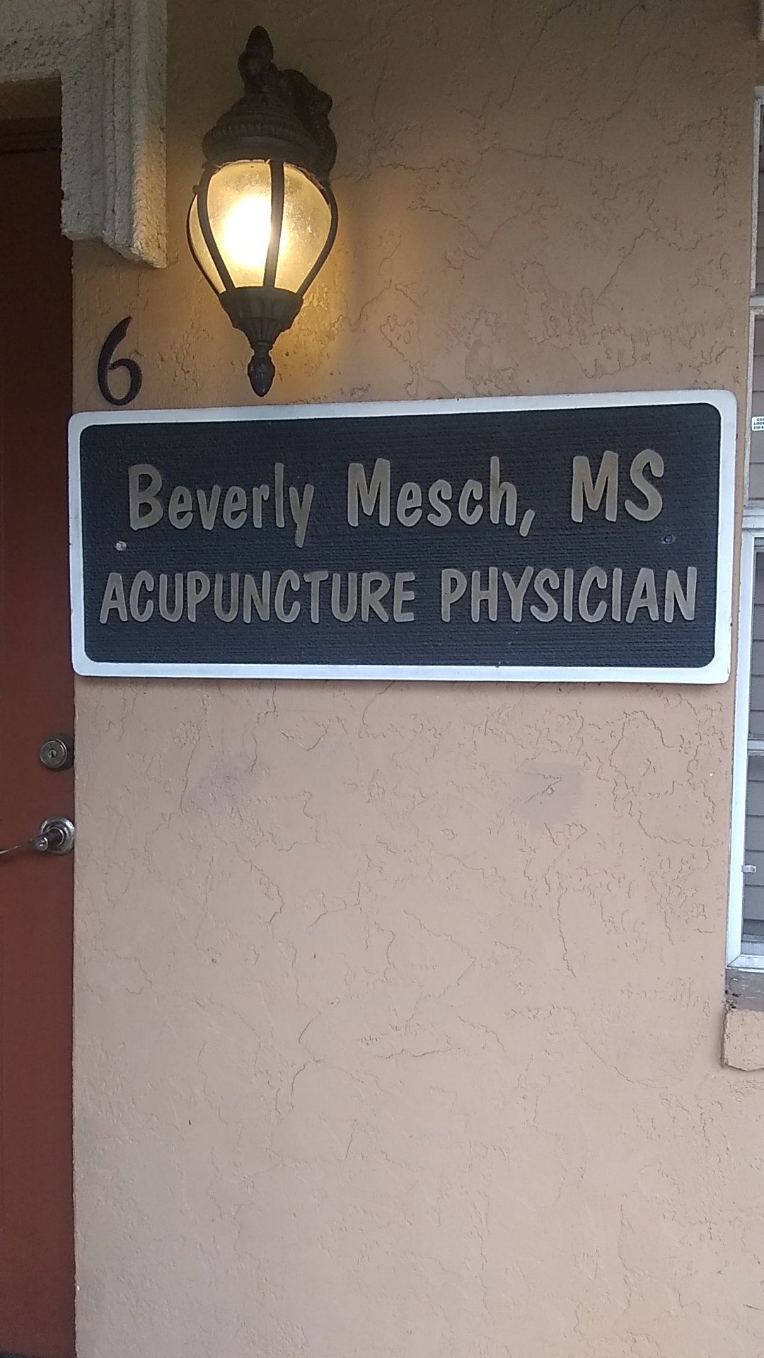 Beverly Mesch Acupuncture