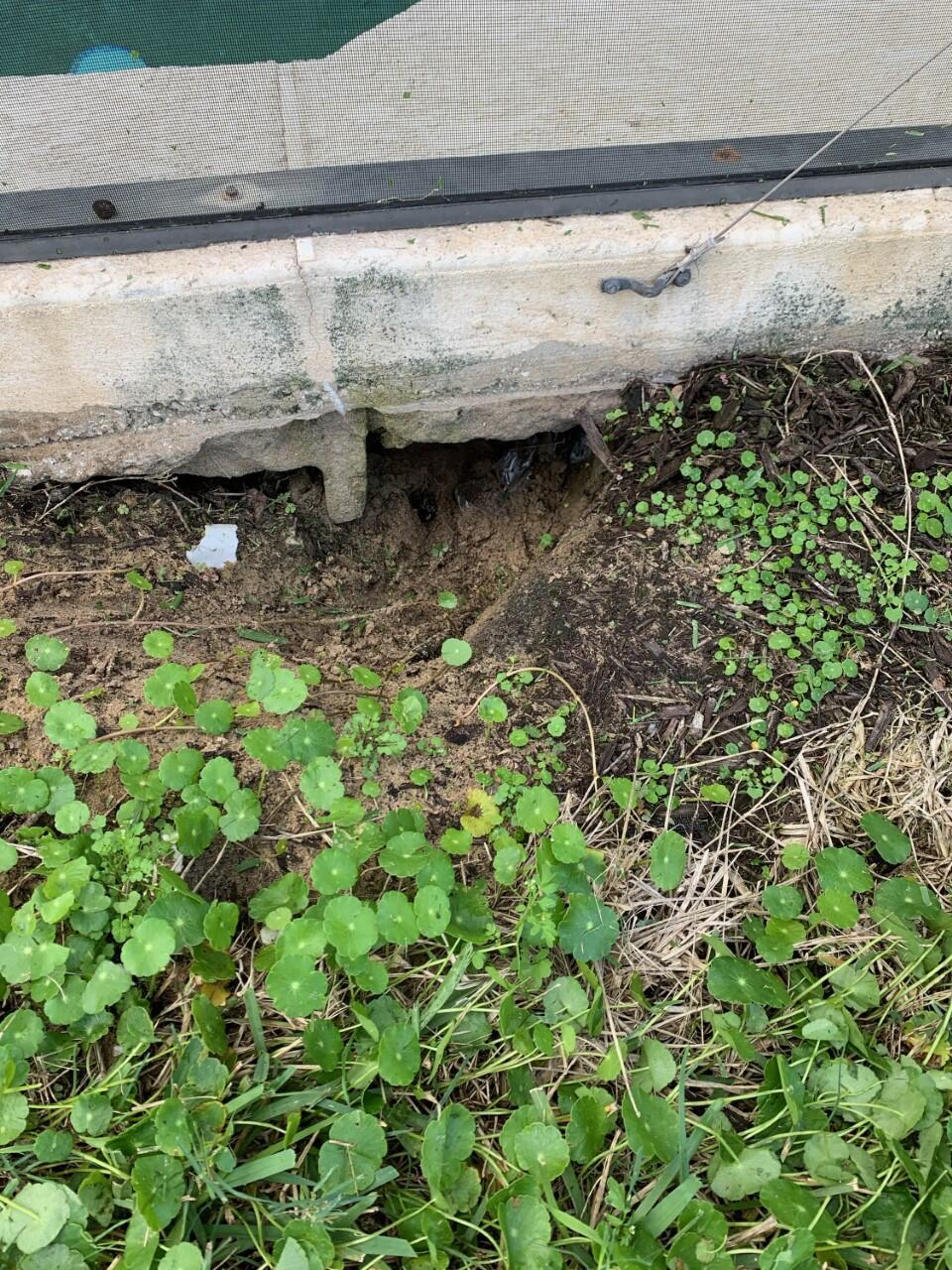 Photo credit: nextdoor