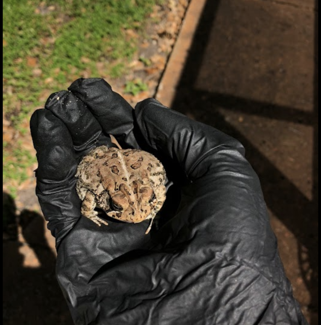 Photo credit: nextdoor