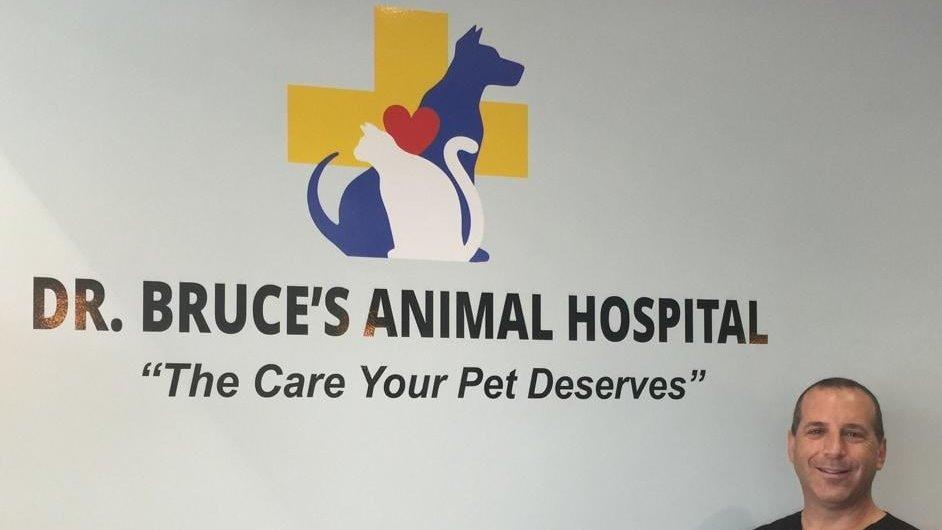 Dr. Bruce's Animal Hospital