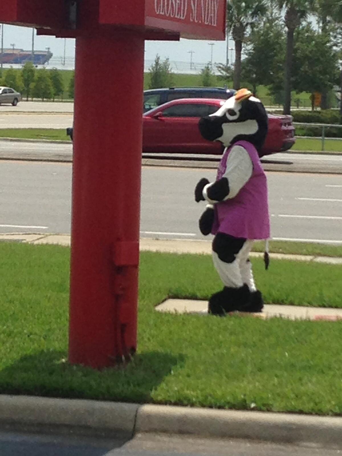 Photo credit: nextdoor