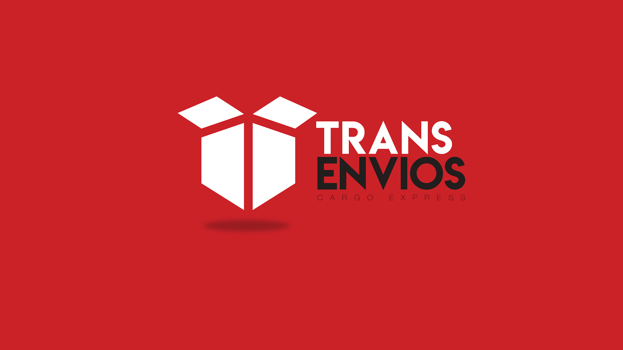 Trans-Envios Cargo Express Inc.