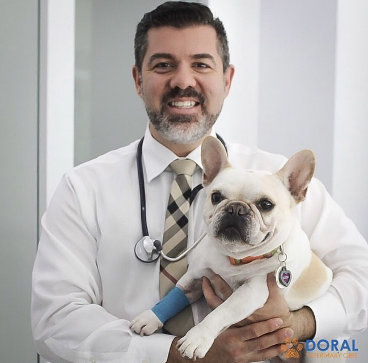 Doral Veterinary Care