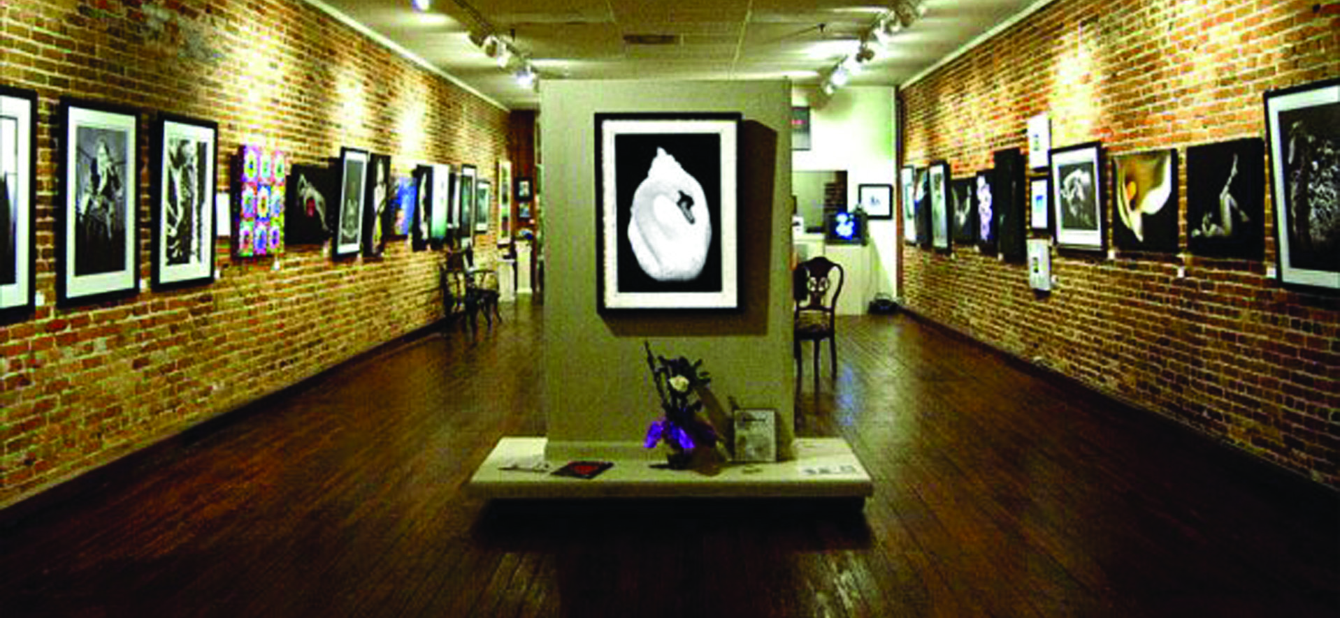 Arts For Act Gallery