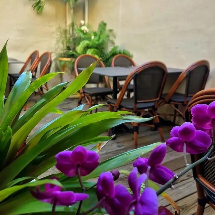 Photo credit: opentable