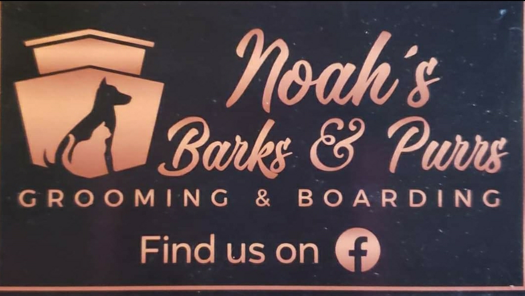 Noah's Barks and Purrs