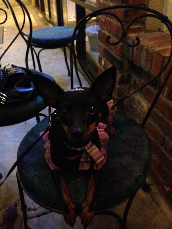 Photo credit: nextdoor