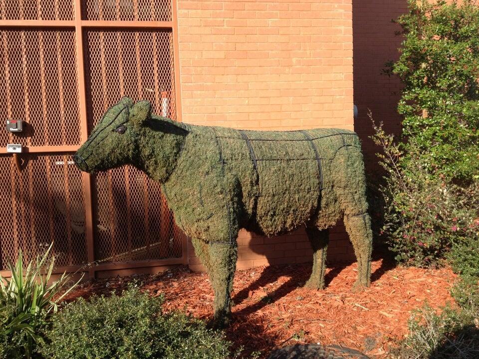 Photo credit: nextdoor