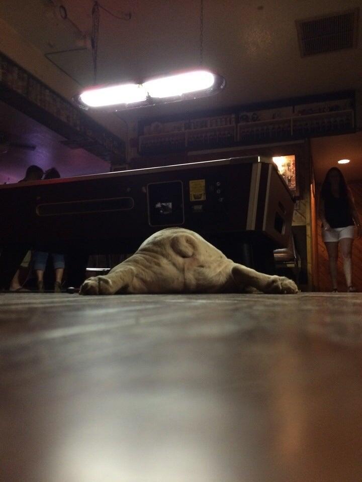 Photo credit: nextdoor