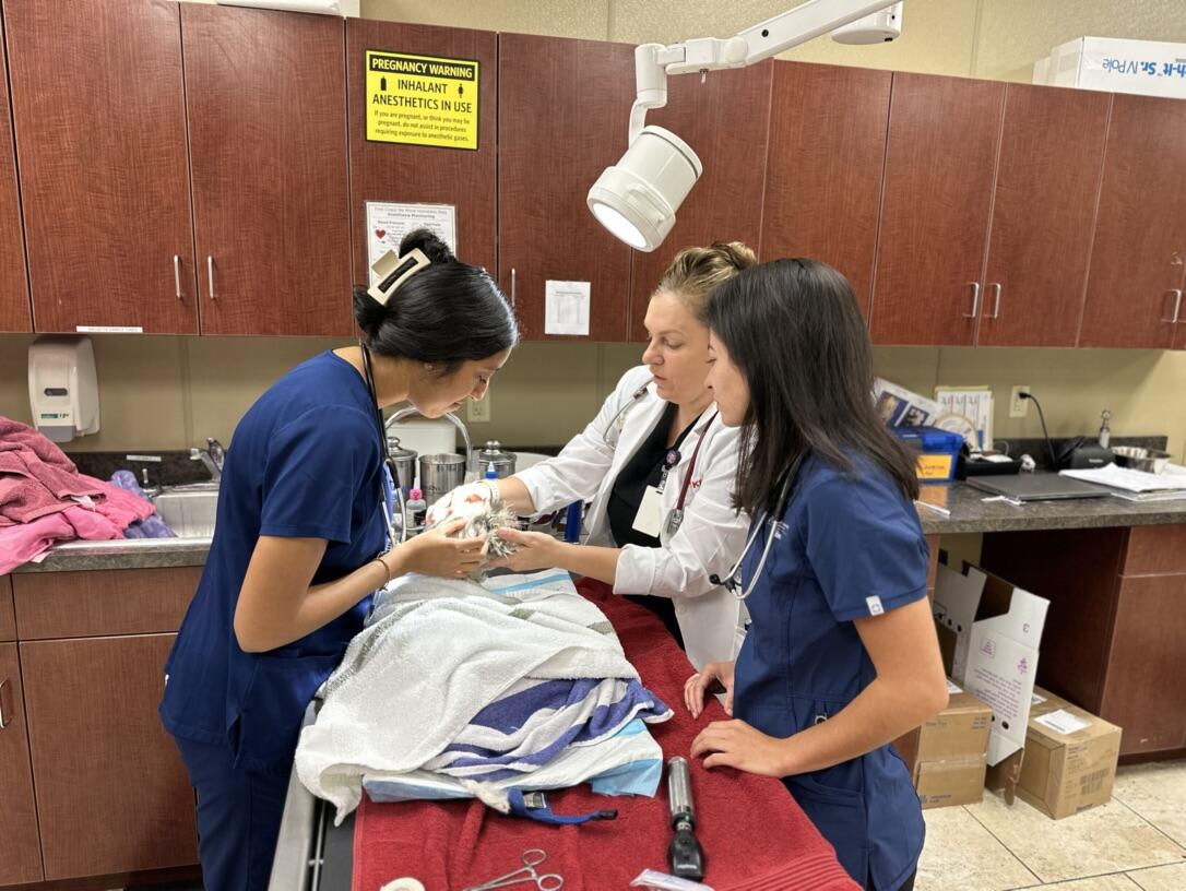 Photo credit: nextdoor