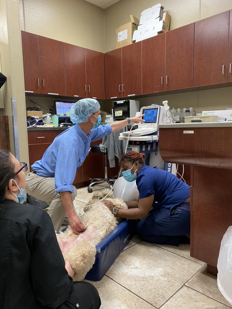 Photo credit: nextdoor