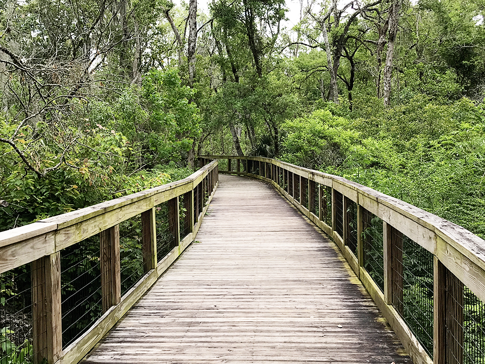Tree Hill Nature Center 7152 Lone Star Rd, Jacksonville