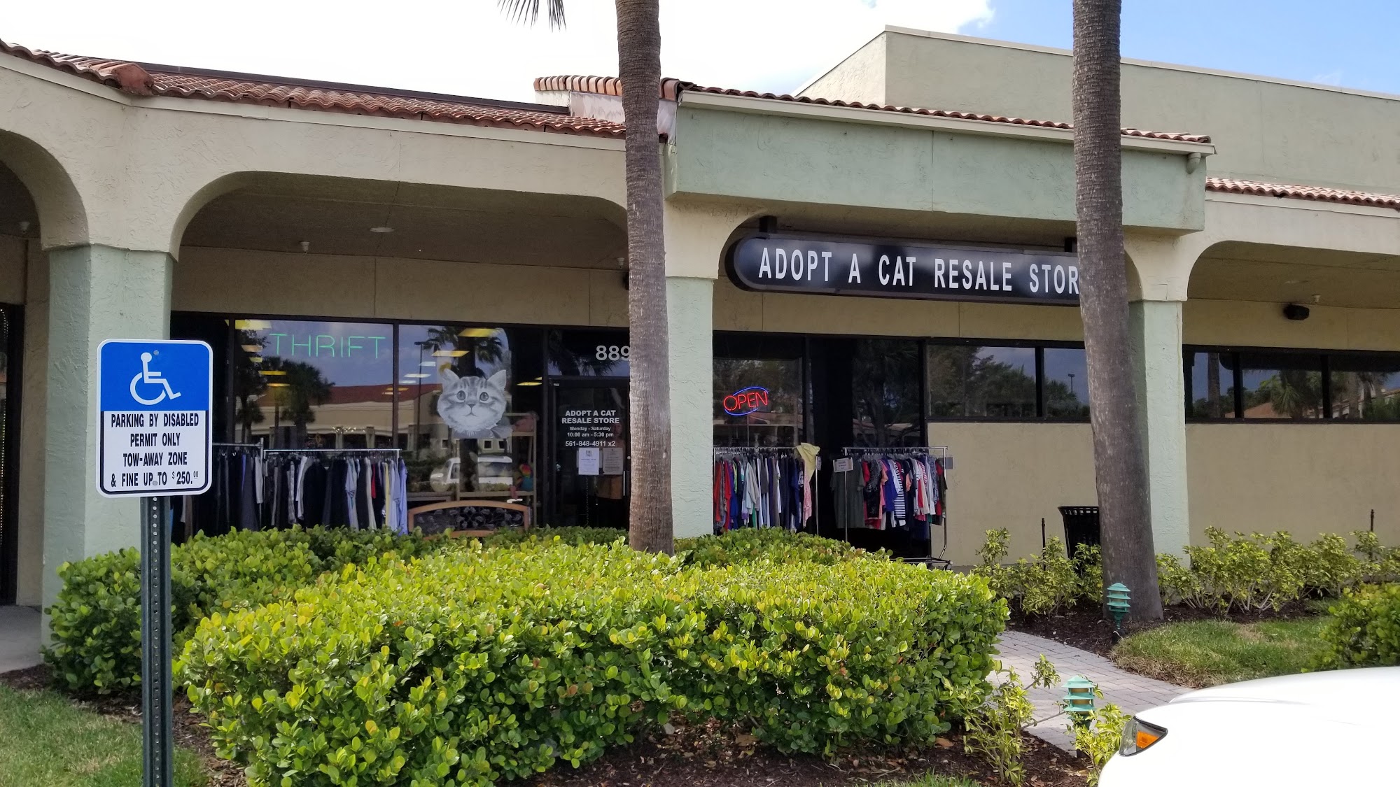 Adopt A Cat Foundation Resale Store
