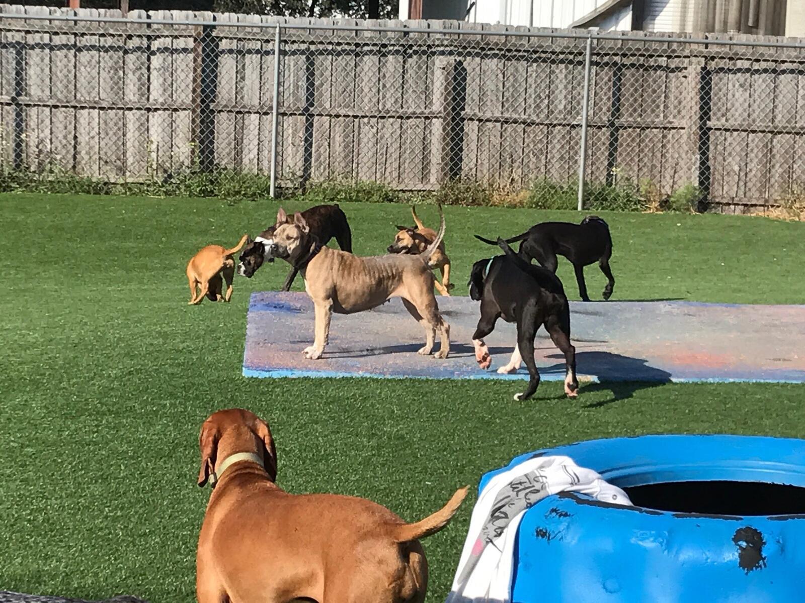 Photo credit: nextdoor