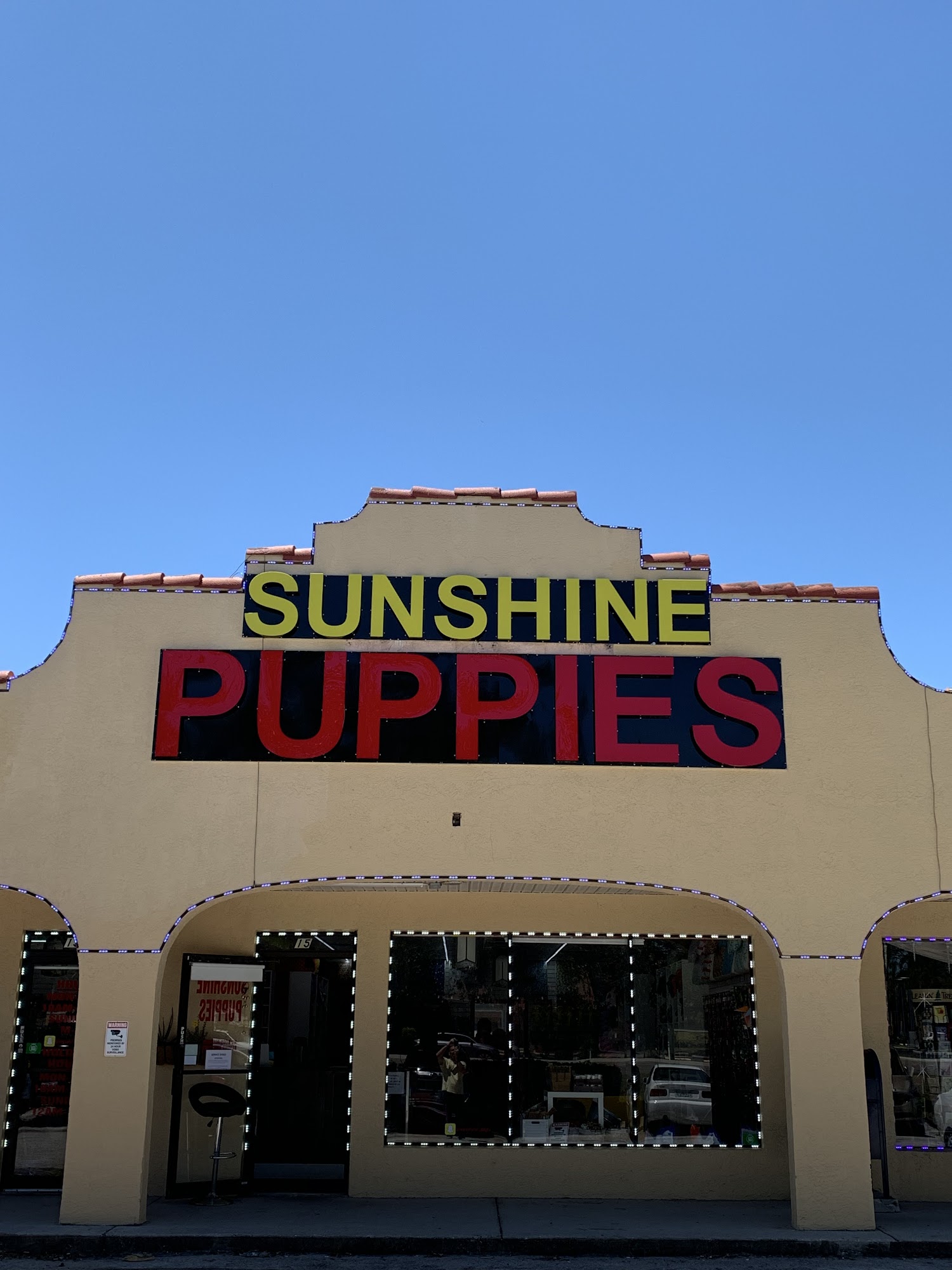 Sunshine Puppies