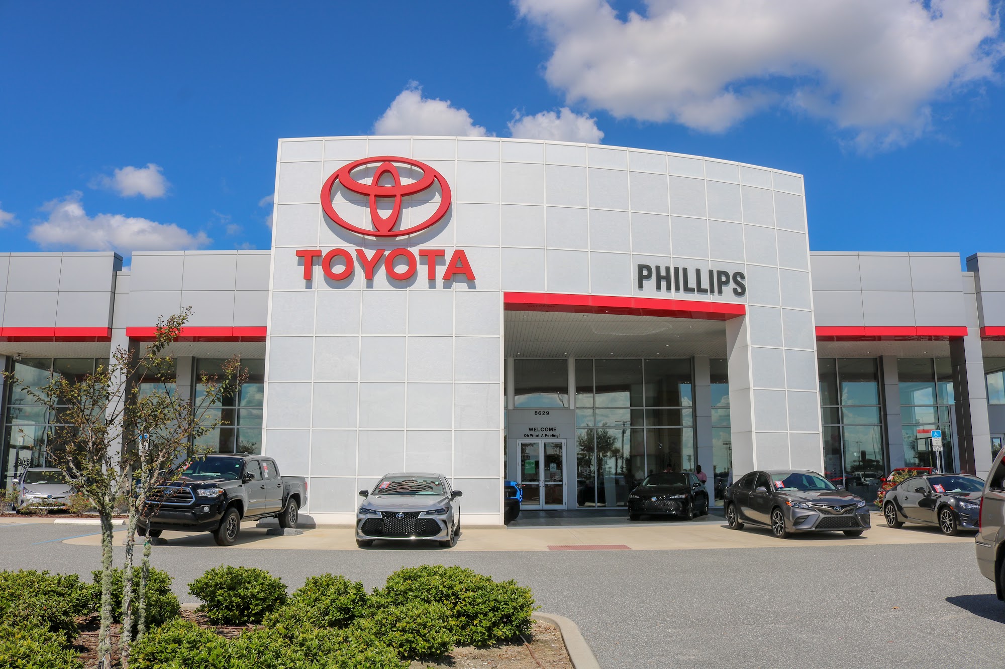 Phillips Toyota