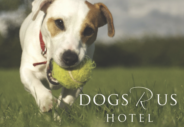 Dogs R Us Hotel