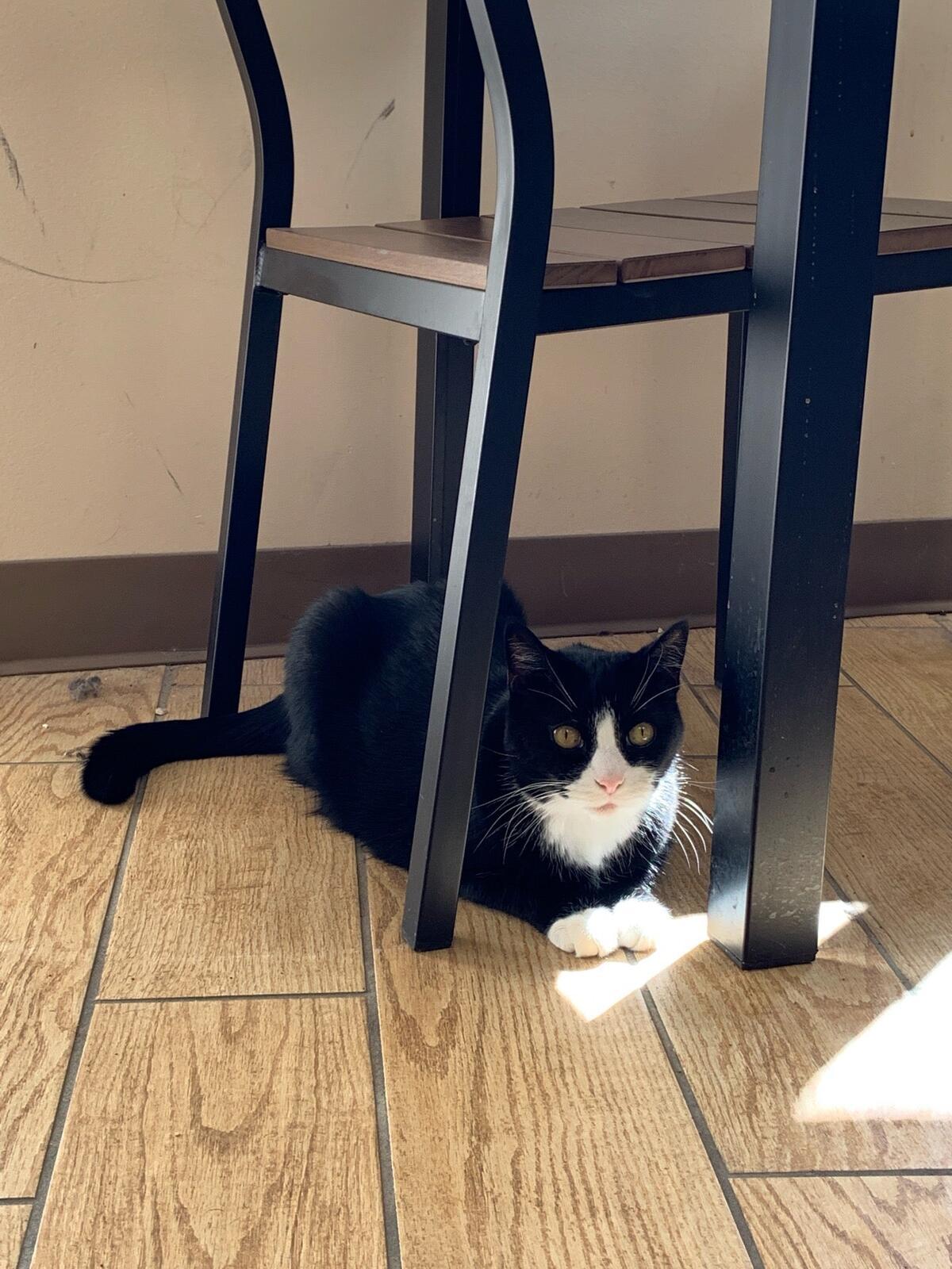 Photo credit: nextdoor