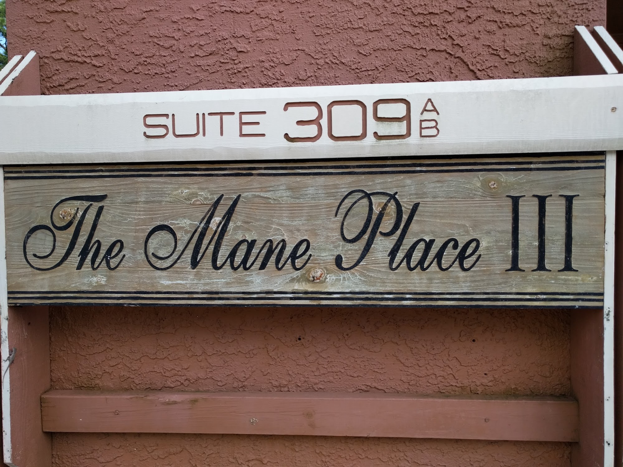 The Mane Place III