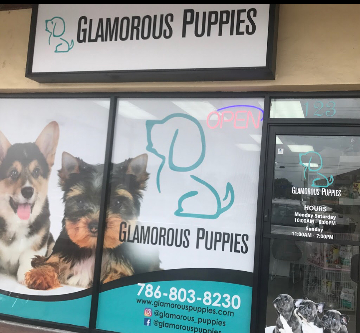 Glamorous Puppies