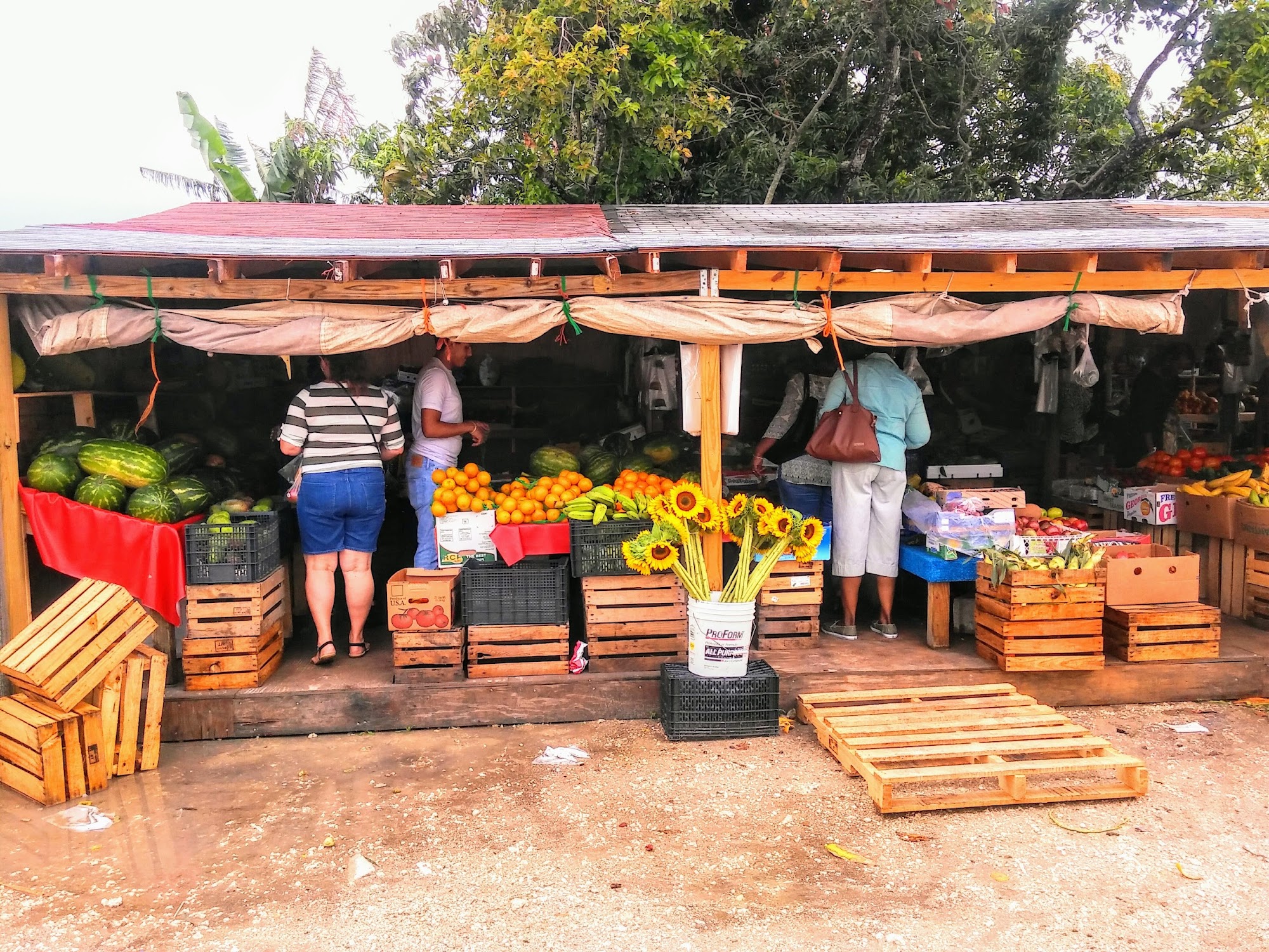 Maria Corona Produce Best Farmers Market