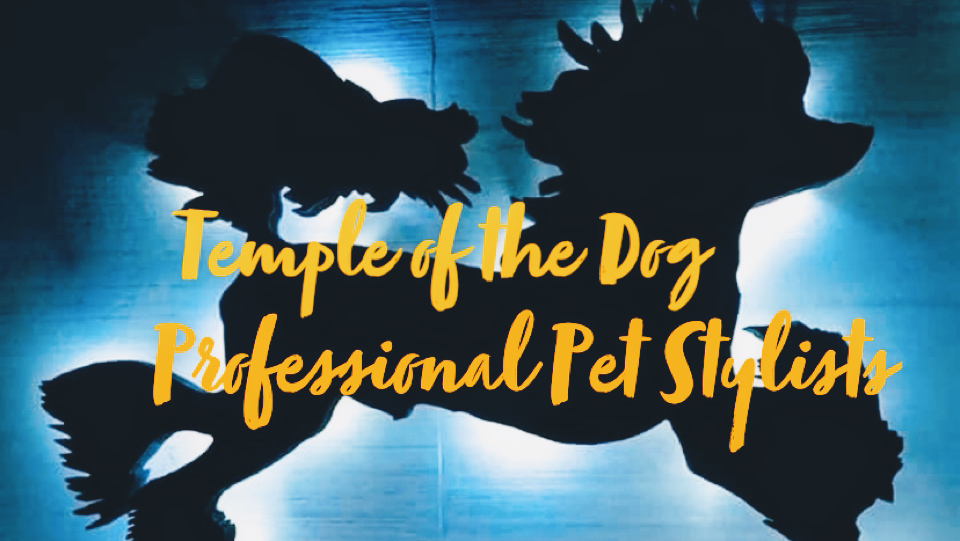 Temple of the Dog Professional Pet Stylists