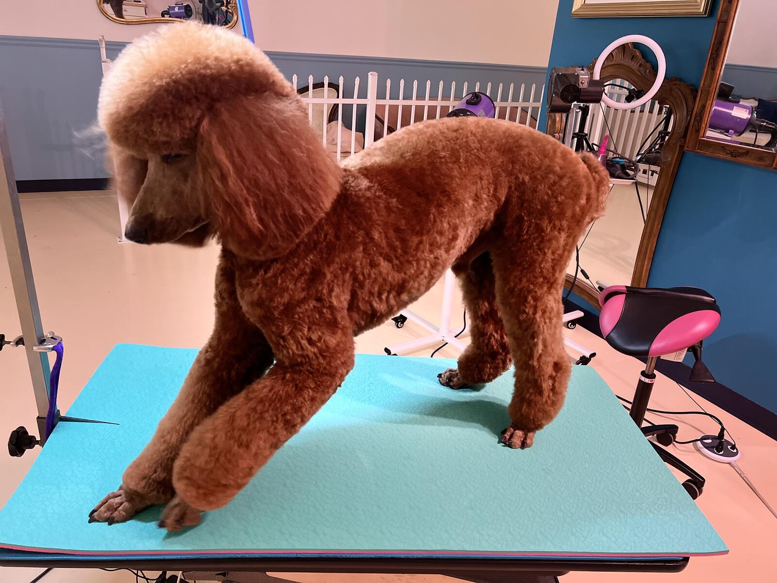 Photo credit: nextdoor