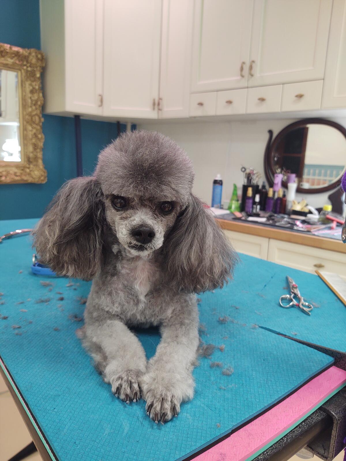 Photo credit: nextdoor
