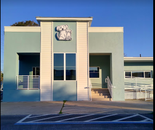 New Smyrna Beach Animal Medical Center