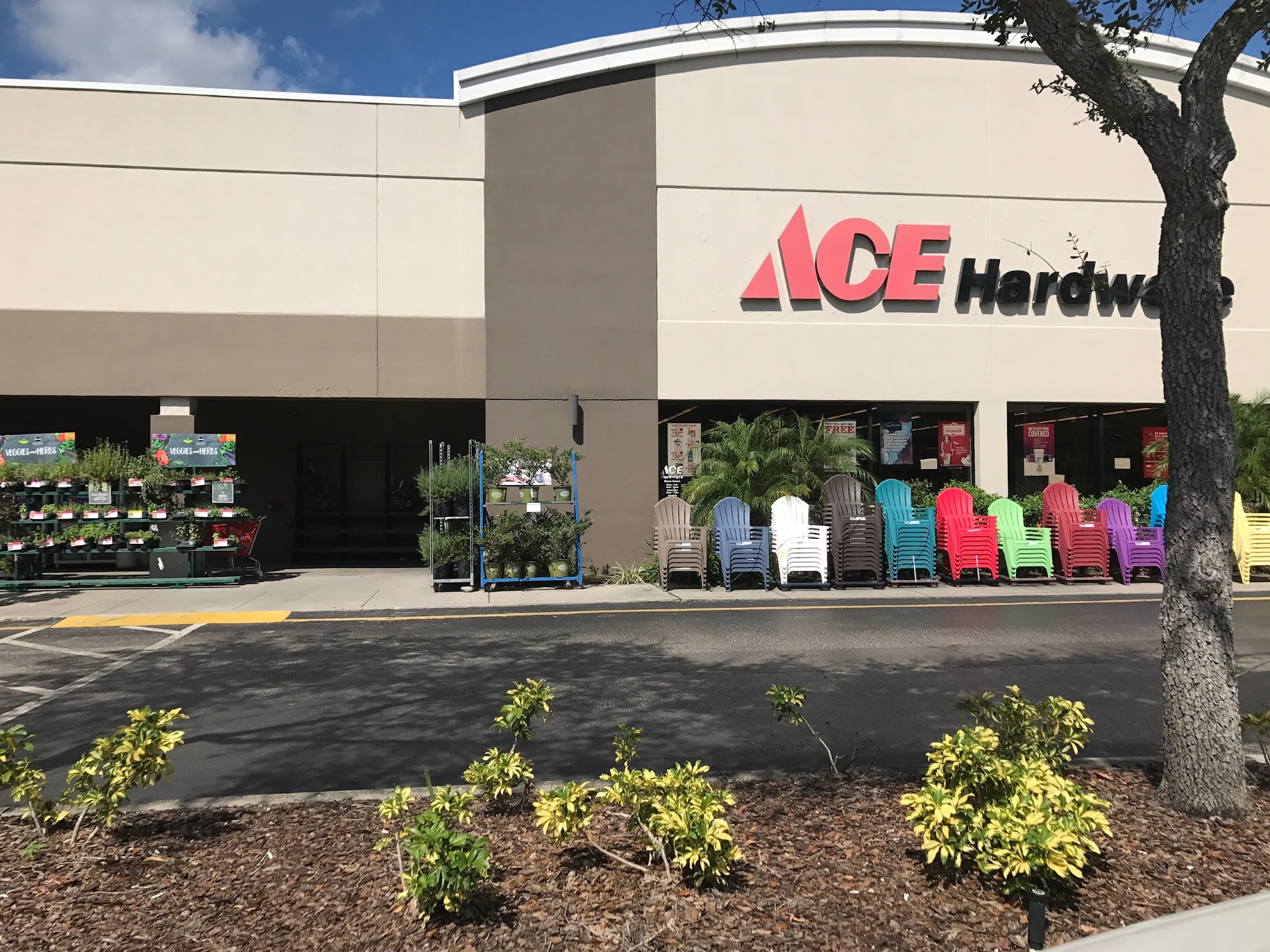 Vision Ace Hardware