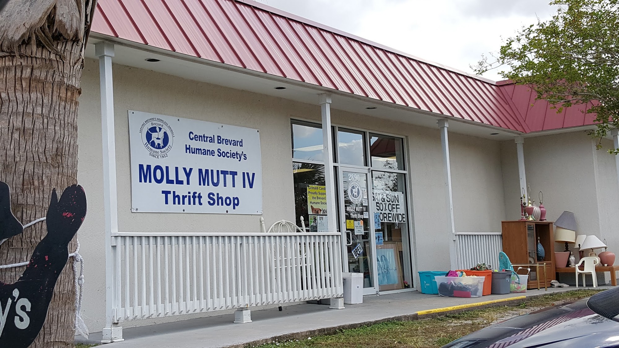 Molly Mutt IV Thrift Shop