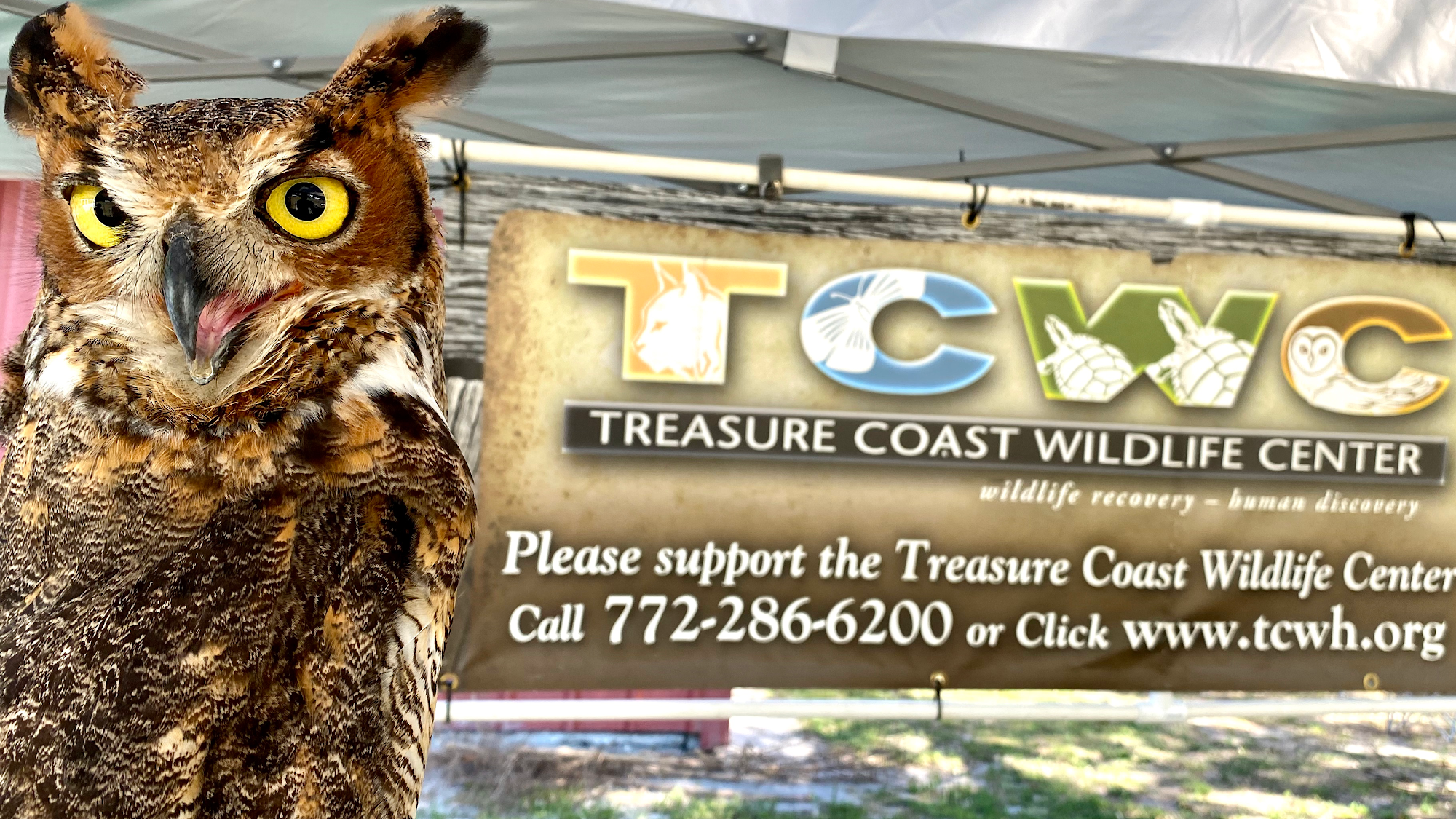 Treasure Coast Wildlife Center