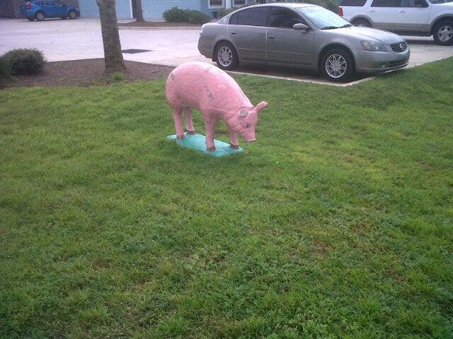 Photo credit: nextdoor