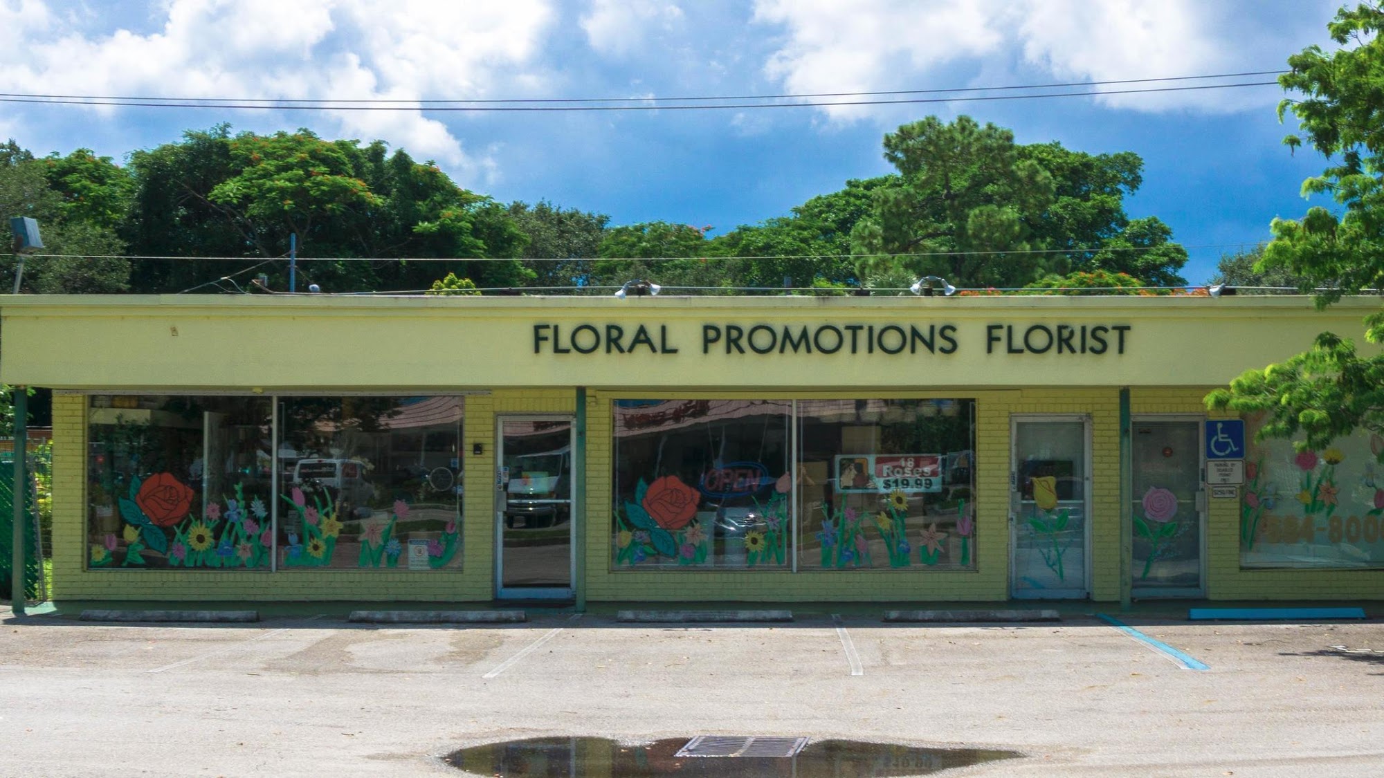 Plantation Florist Floral Promotions & Flower Delivery