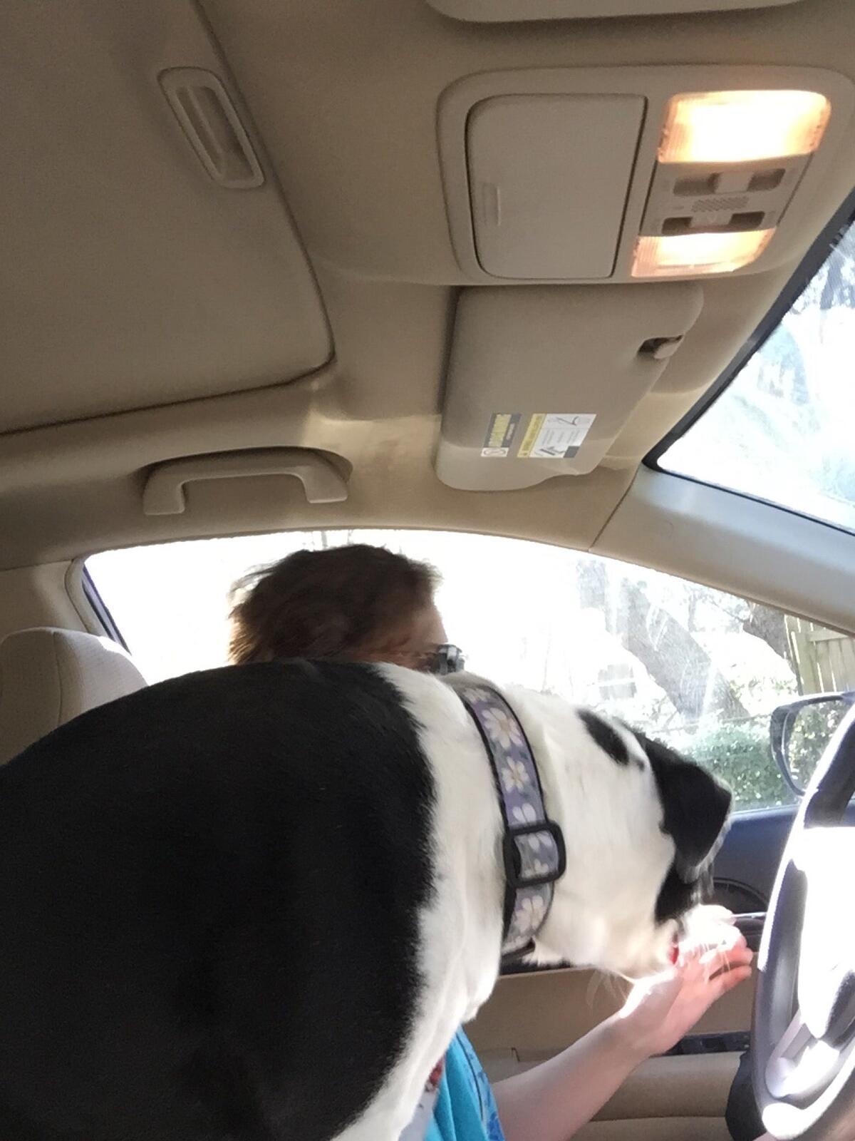 Photo credit: nextdoor