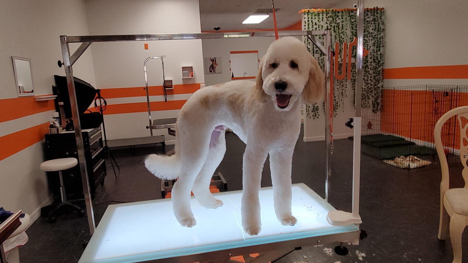 Photo credit: nextdoor