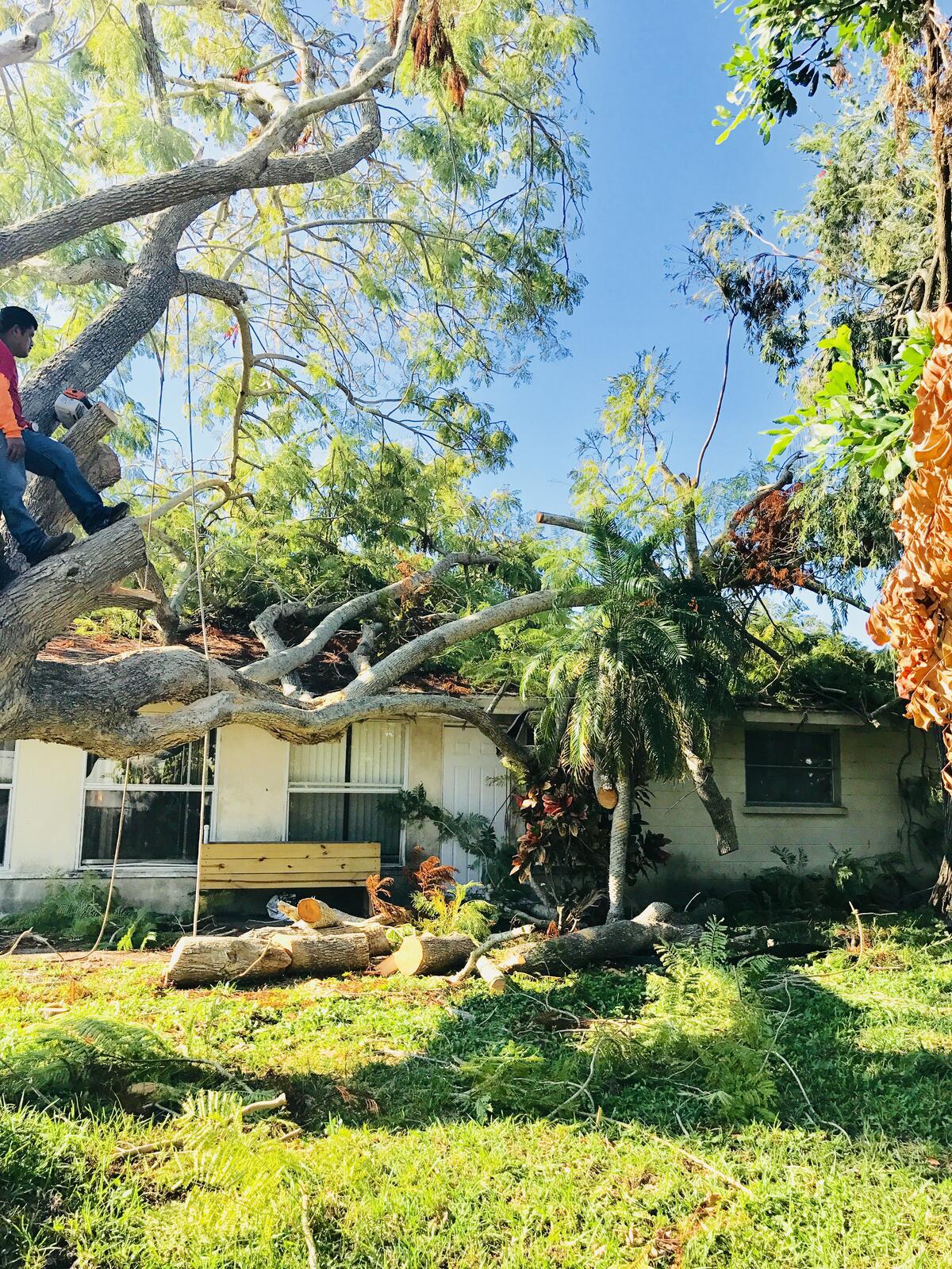 Photo credit: nextdoor