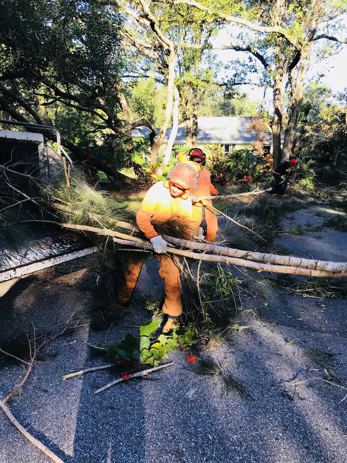 Photo credit: nextdoor