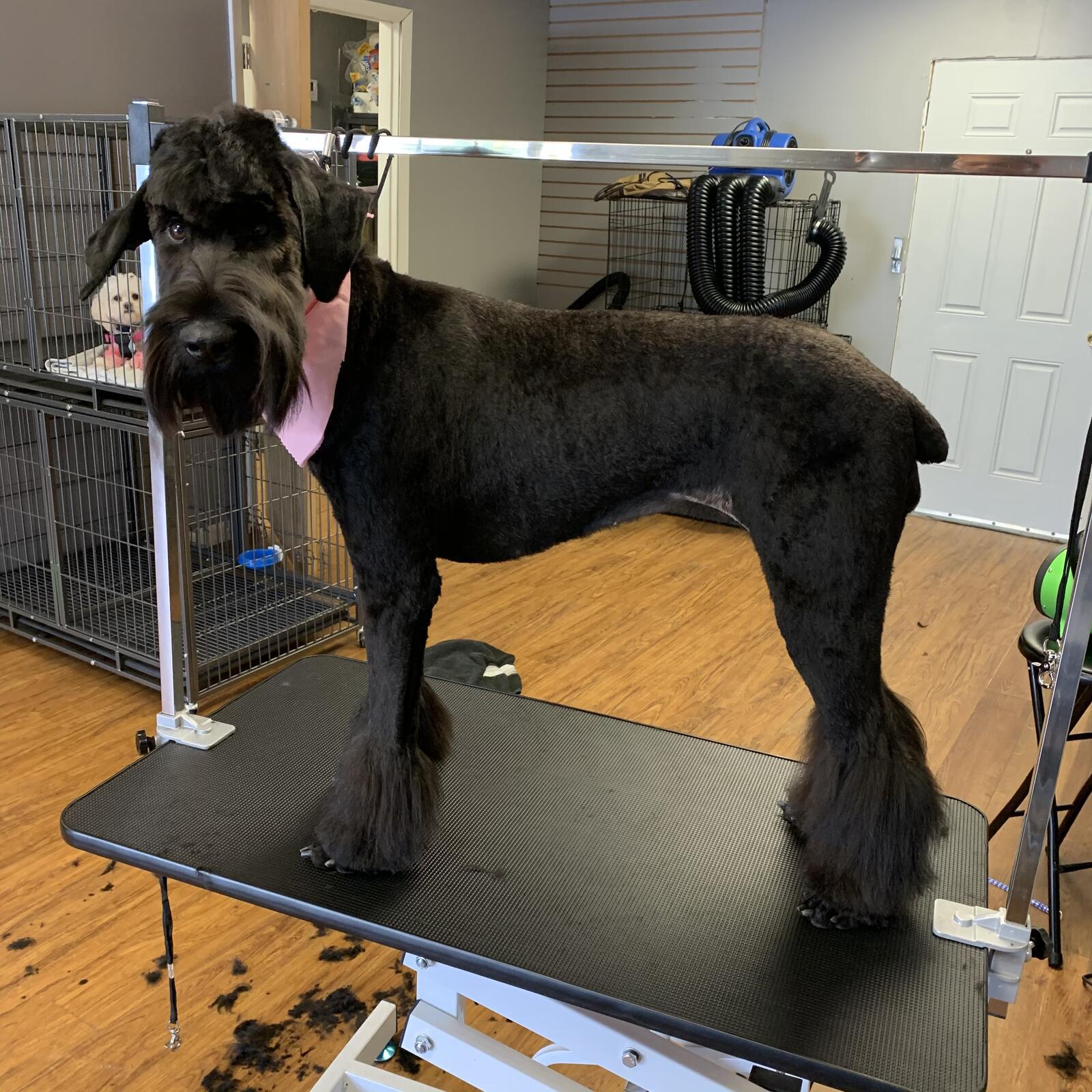 Photo credit: nextdoor