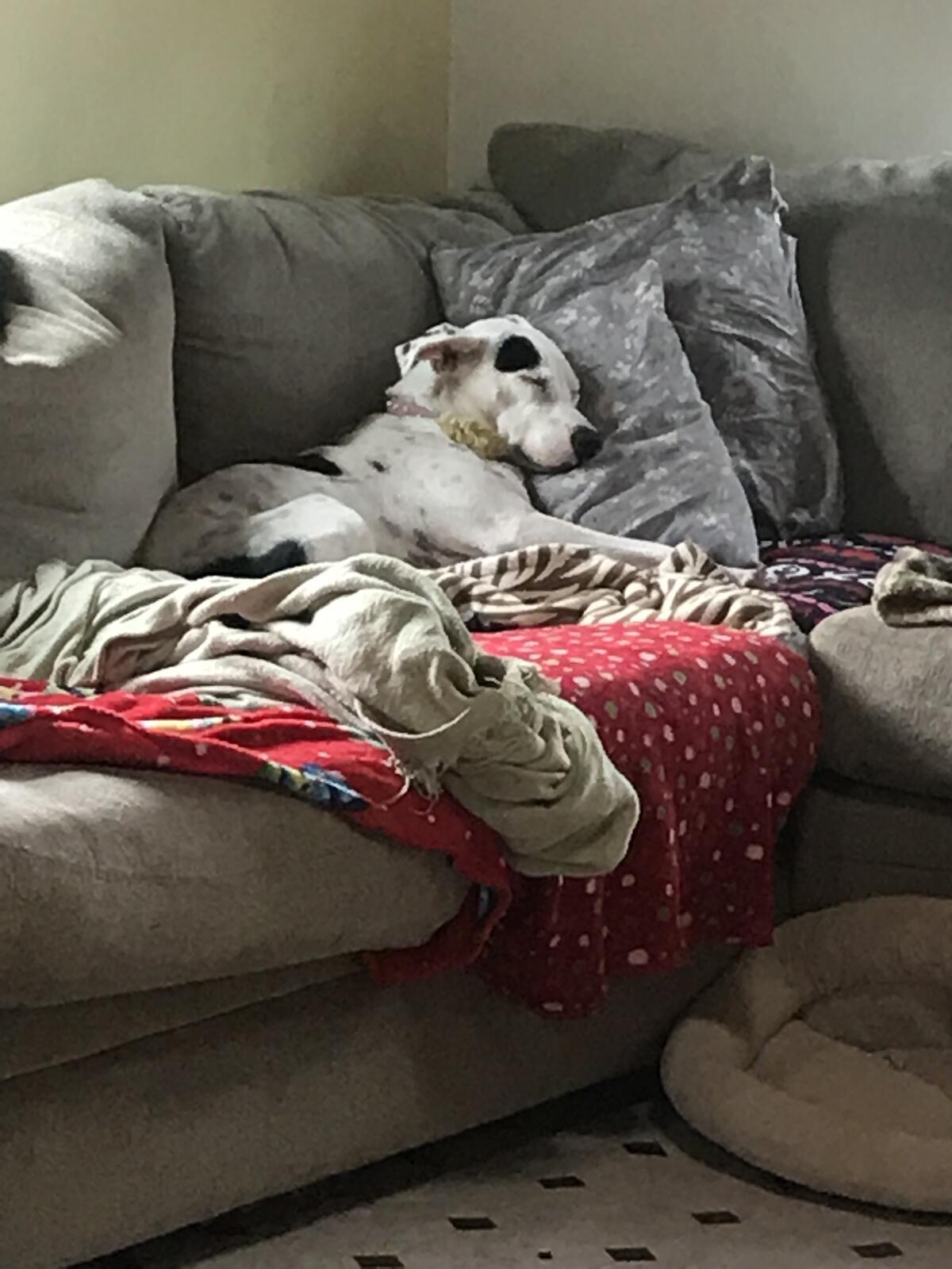 Photo credit: nextdoor