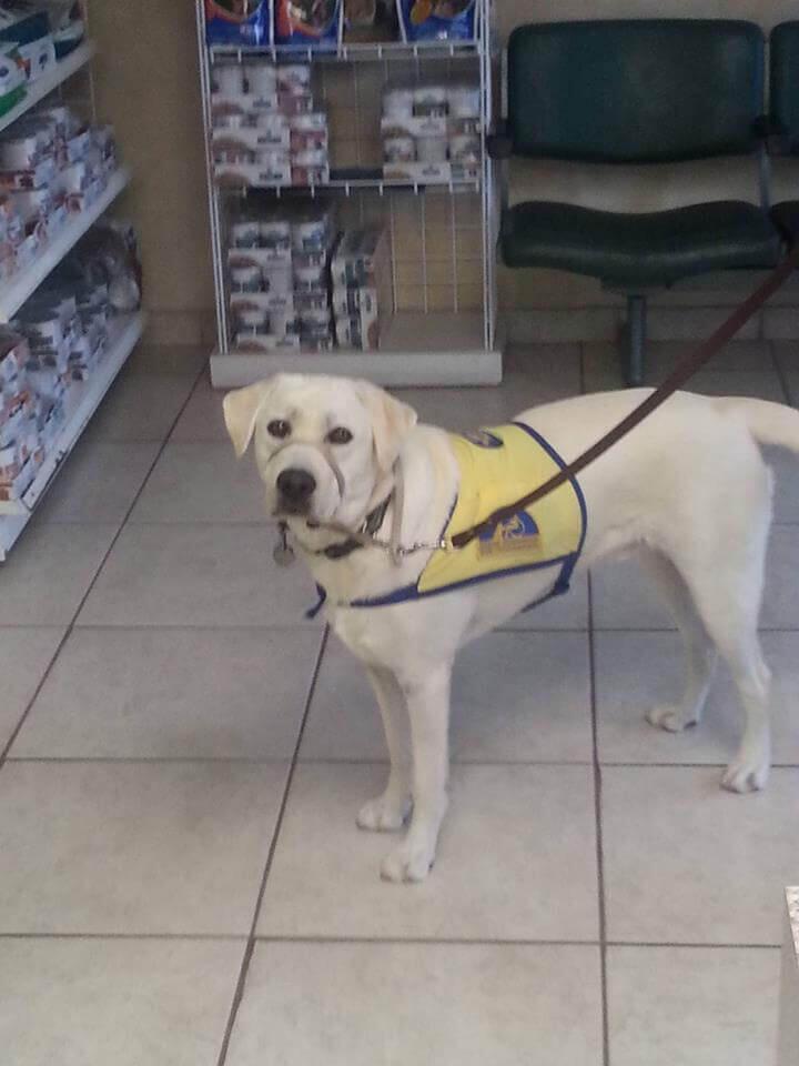 Photo credit: nextdoor