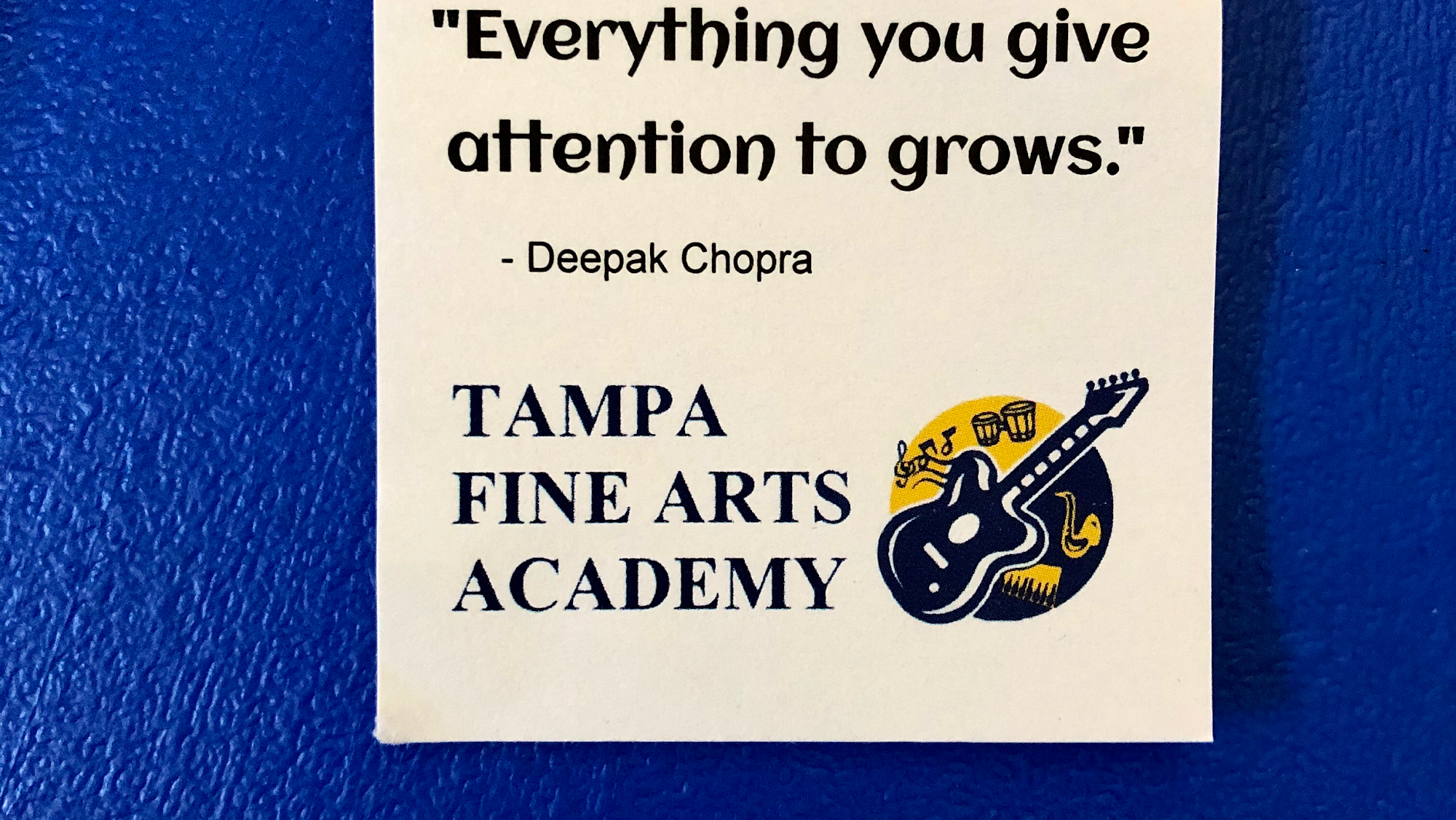 Tampa Fine Arts Academy