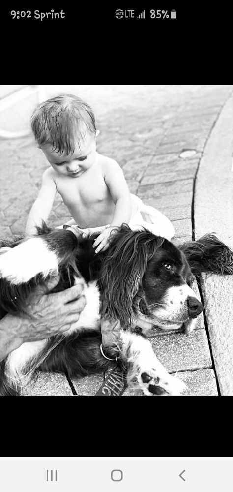 Photo credit: 