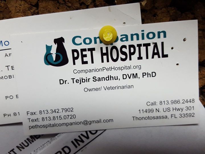 Companion Pet Hospital