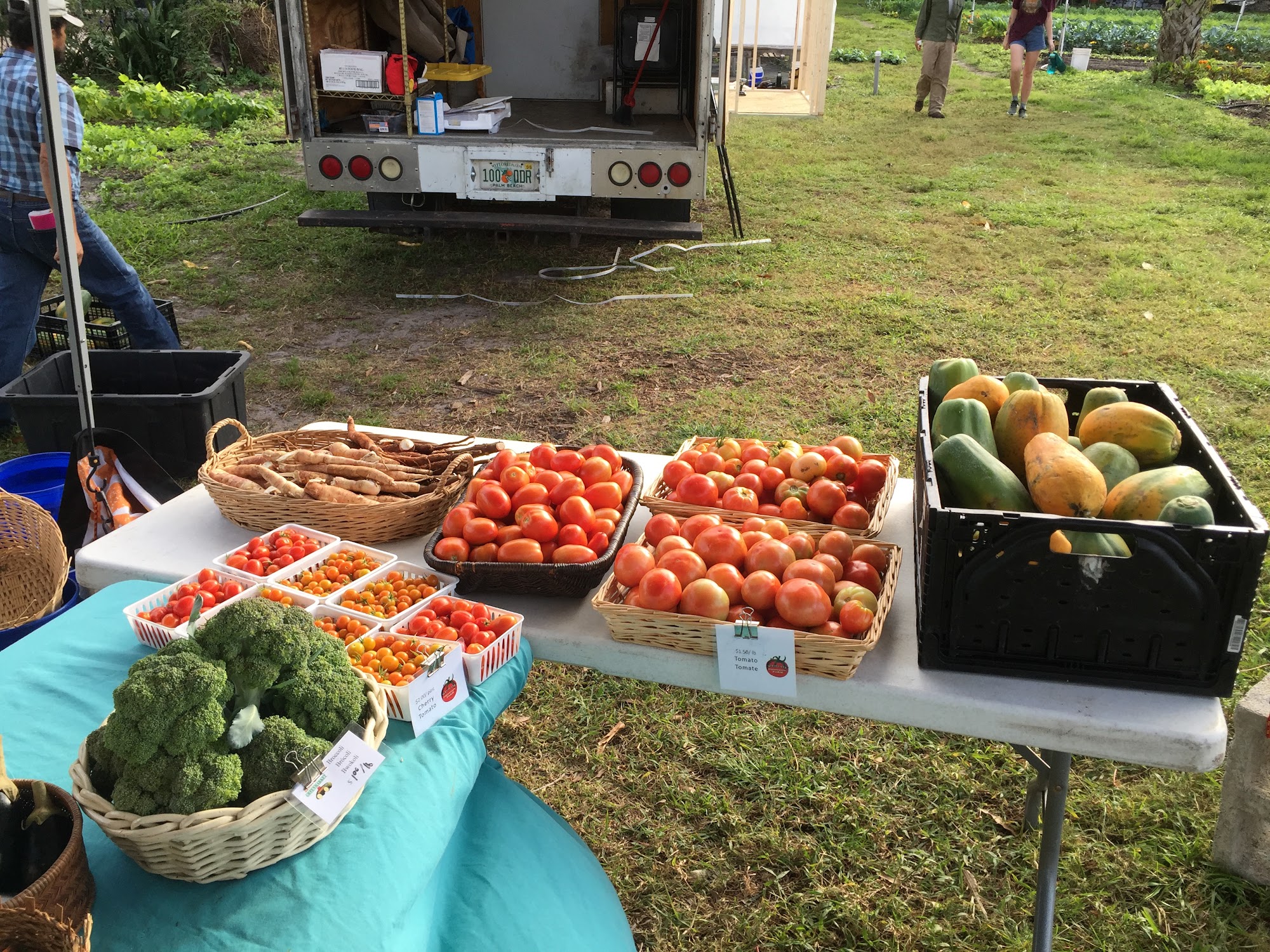 Westgate Community Farm