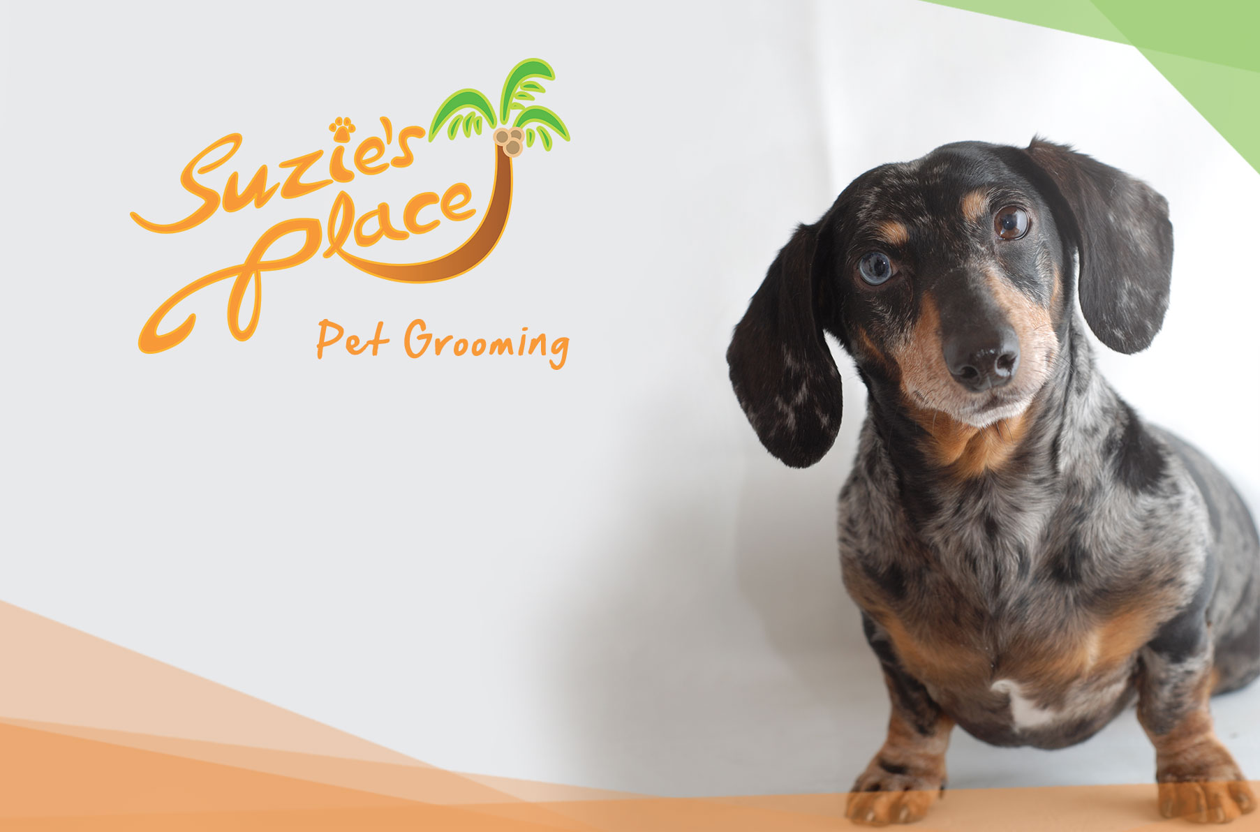 Suzie's Place Pet Grooming